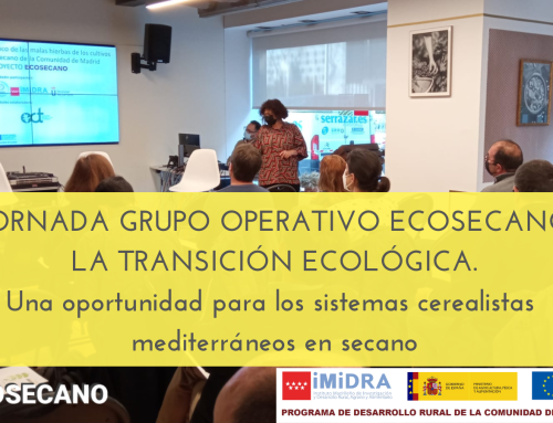 Jornada GO ECOSECANO: Una oportunidad para los sistemas cerealistas mediterráneos