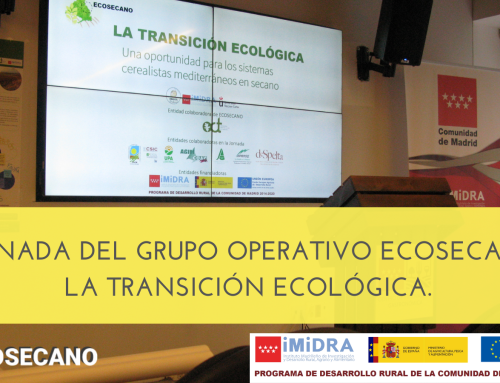 Presentaciones expuestas en la Jornada sobre Transición ecológica